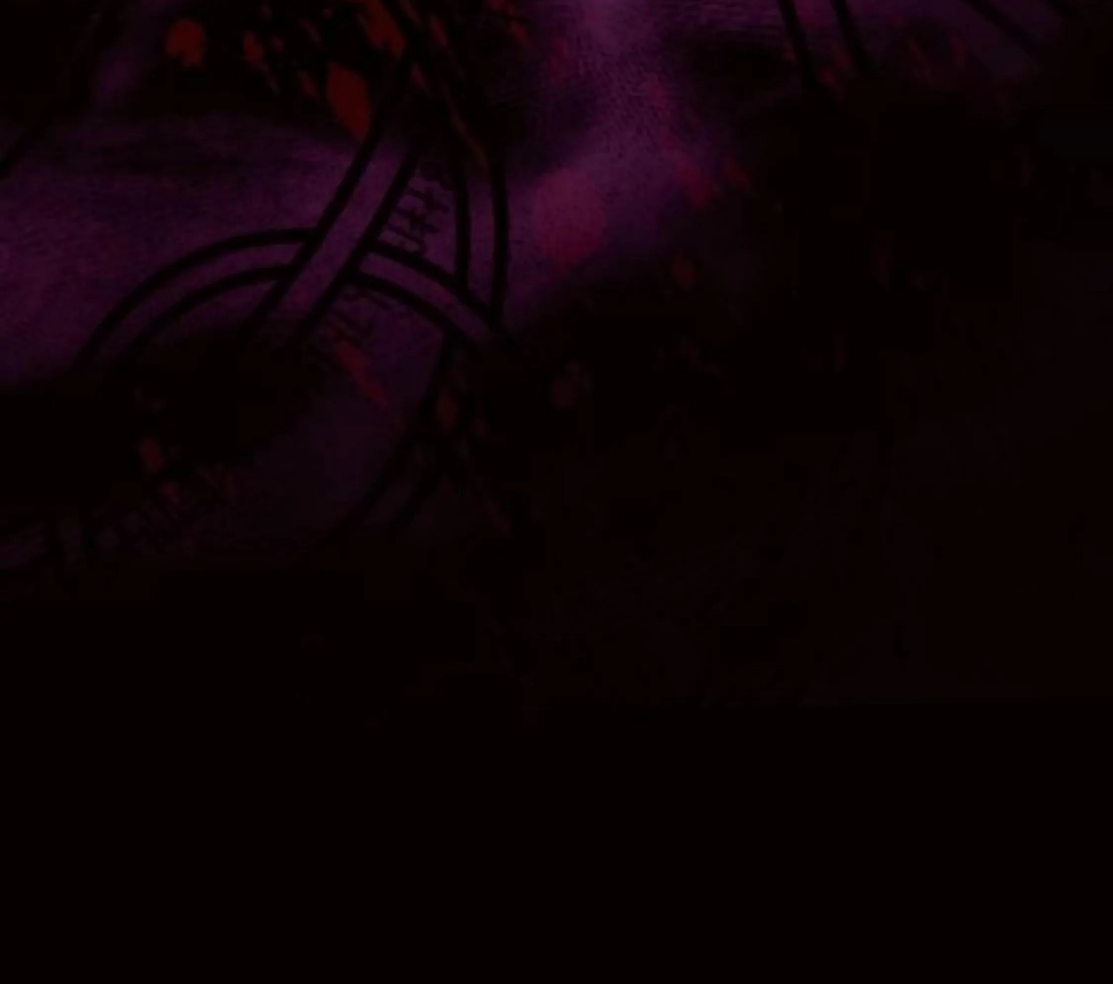 The Young Emperor Is Obsessed With Me Chapter 24 Gambar 97