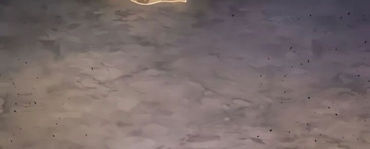 Martial God Regressed to Level 2 Chapter 76 Gambar 72