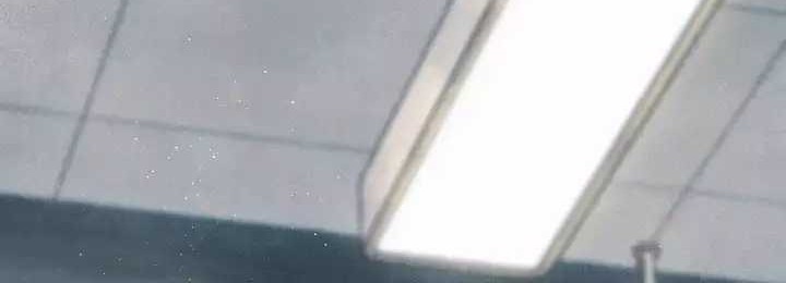 High School Musical Genius Is Paganini Reincarnated Chapter 23 Gambar 23