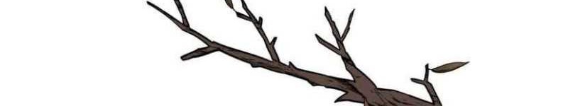 lightning expert Chapter 59 Gambar 19