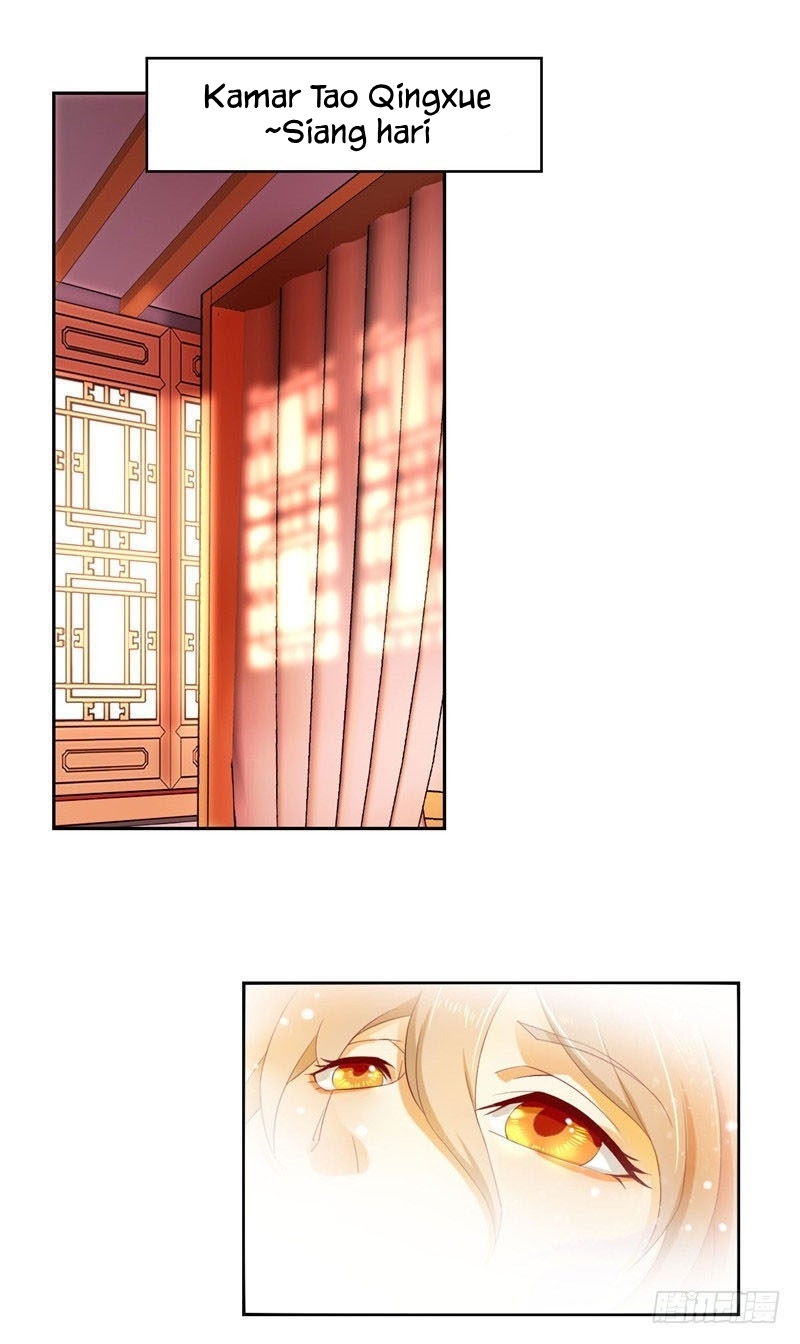 Manhua The Evil King’s Wicked Consort Chapter 05 gambar nomor 2