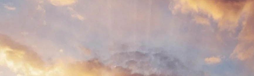 Release That Witch Chapter 103 Gambar 33